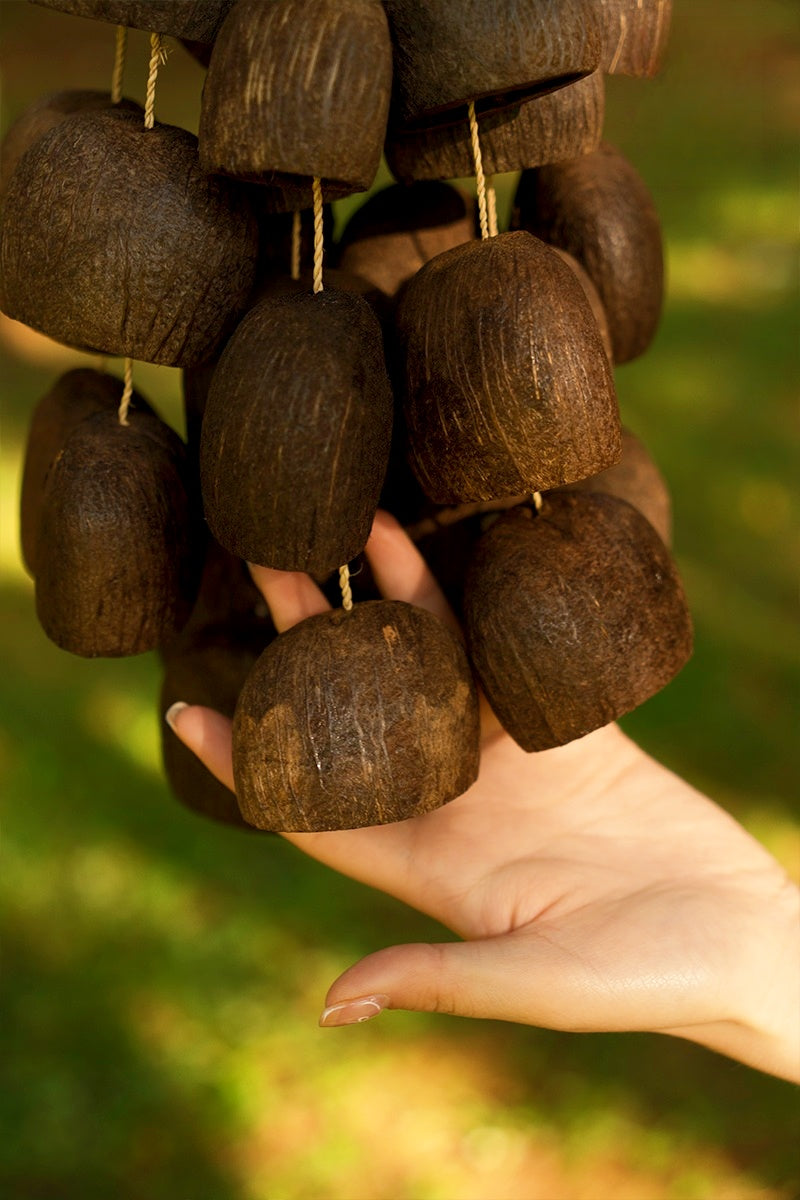 Handmade Salin Water Bellwood Seed Shell Hand Bell – Natural Rainforest Decor