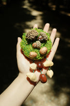 "Acorn Family" Moss Forest Fridge Magnet - Yunicrafts
