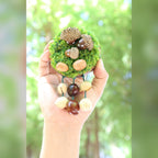 "The Acorn Family" - Handmade Moss Forest Wall Hanging & Seed Mobile - Yunicrafts
