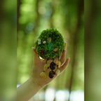 "The Acorn Family" - Handmade Moss Forest Wall Hanging & Seed Mobile - Yunicrafts