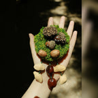 "The Acorn Family" - Handmade Moss Forest Wall Hanging & Seed Mobile - Yunicrafts