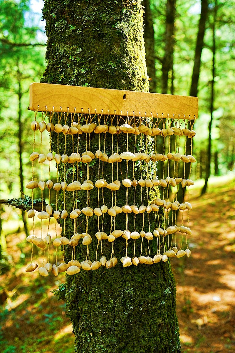 Handmade Chacha Oleander Seed Shell Bar Chime – Natural Rainforest Wind Instrument