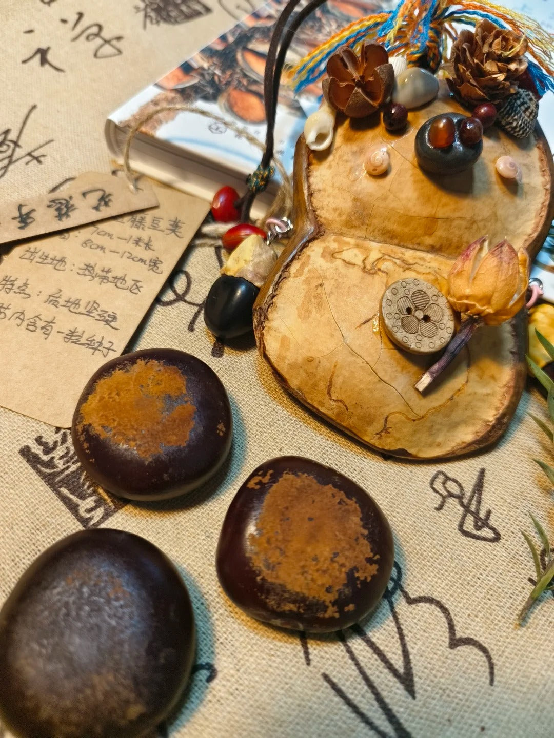 Handmade Entada Pod Ornament with Spinning Feature – Nature-Inspired Gift