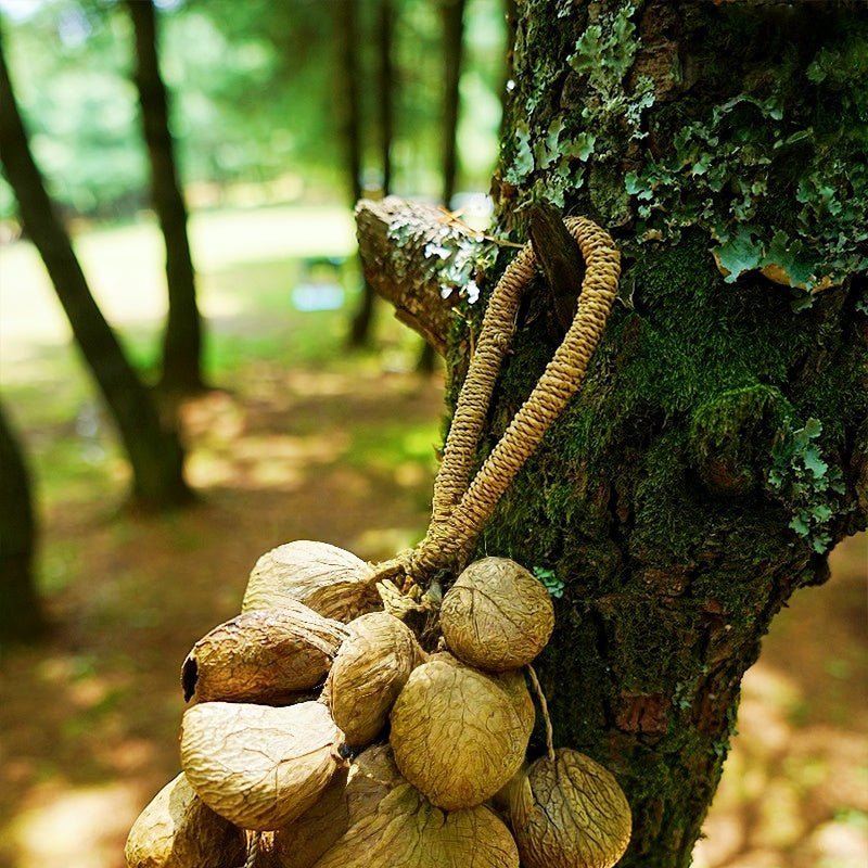 Hand Bell | Handmade Panji Seed Shaker - Yunicrafts