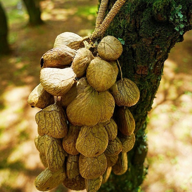Hand Bell | Handmade Panji Seed Shaker - Yunicrafts