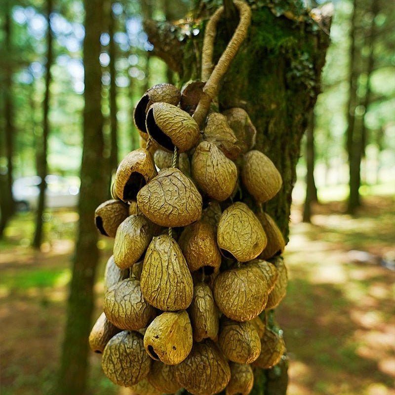 Hand Bell | Handmade Panji Seed Shaker - Yunicrafts