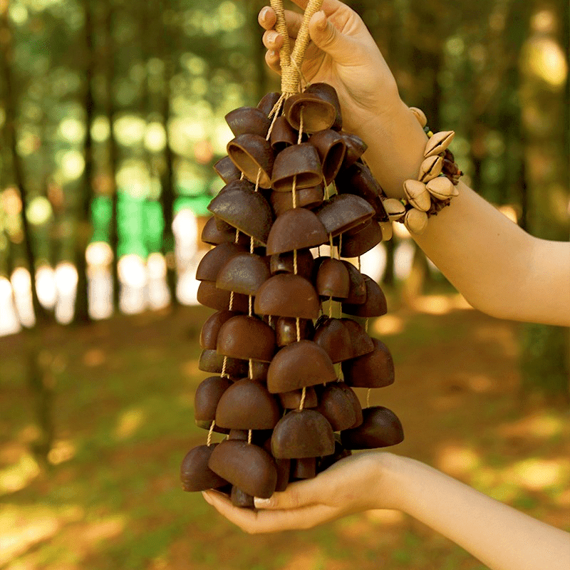 Hand Bell | Juju Duckfoot Vine Seed Shaker - Yunicrafts