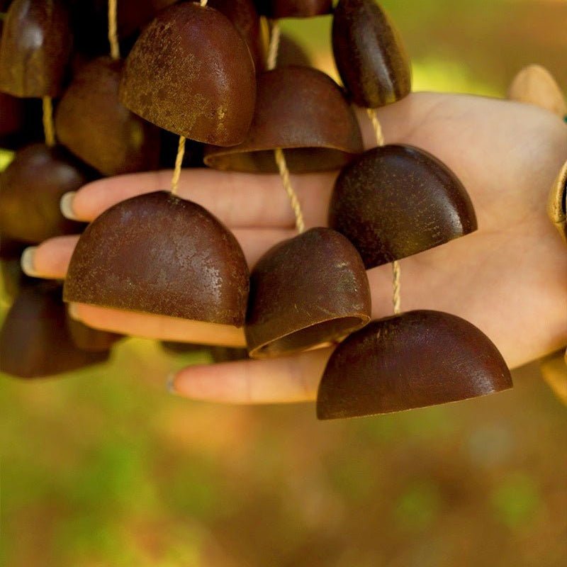 Hand Bell | Juju Duckfoot Vine Seed Shaker - Yunicrafts