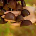 Hand Bell | Juju Duckfoot Vine Seed Shaker - Yunicrafts