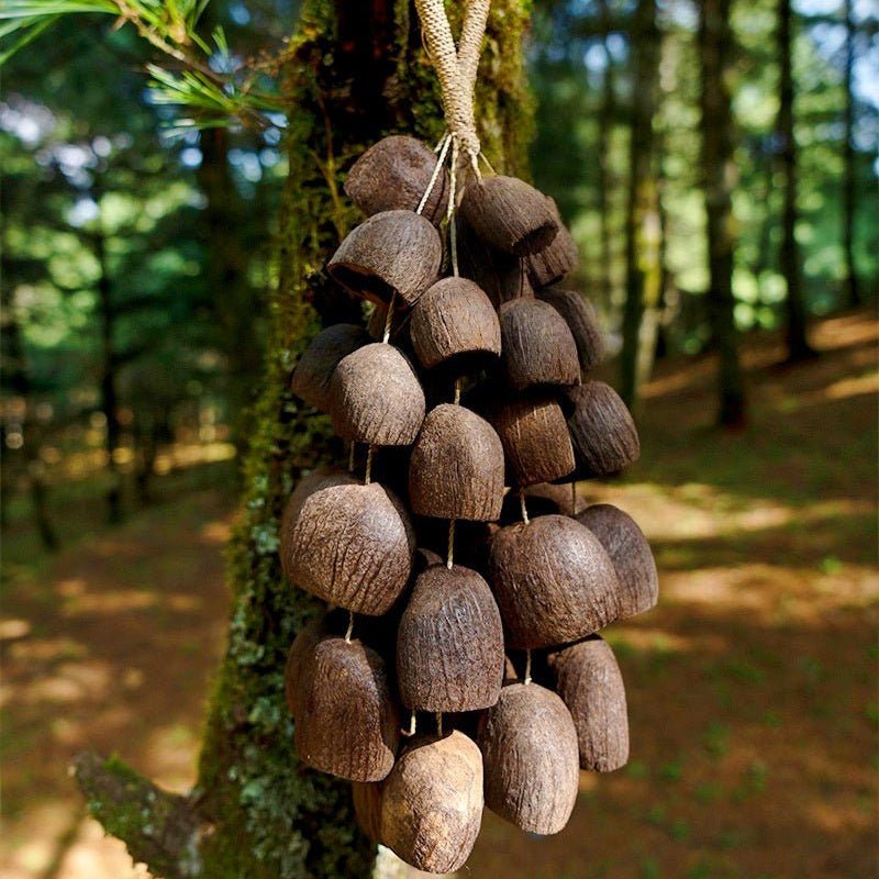 Hand Bell | Salin Water Bellwood Seed Shaker - Yunicrafts