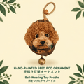 Hand-Painted Bell-Wearing Toy Poodle Seed Pod Ornament - Yunicrafts