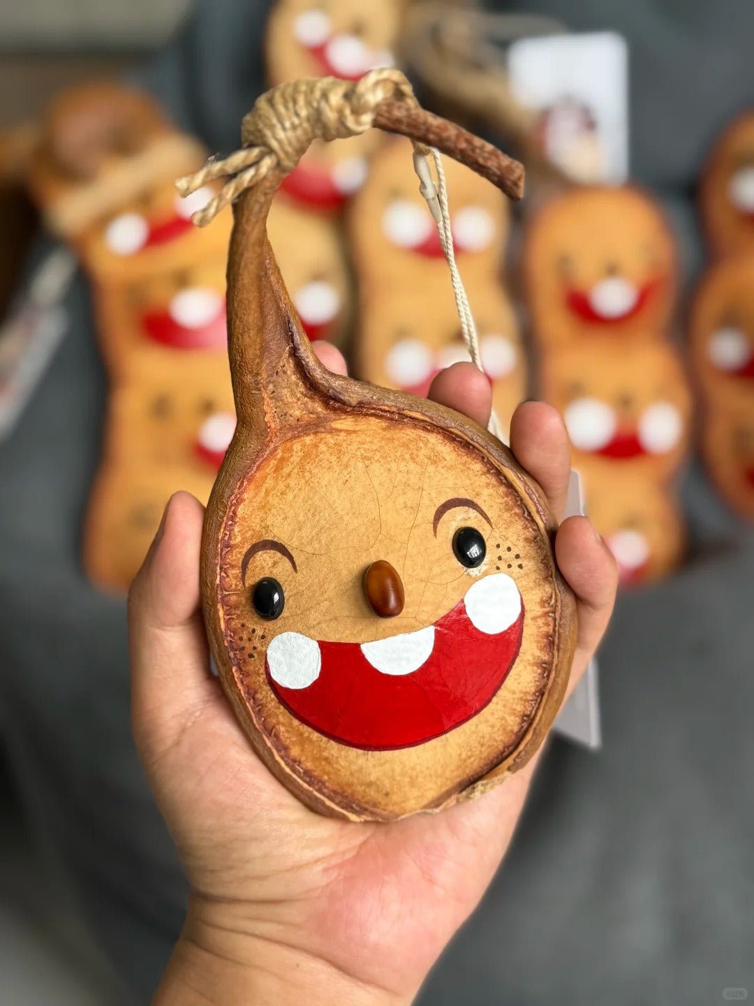 Hand - Painted Giant Entada Pod Ornament – World’s Largest Bean Wall Decor - Yunicrafts