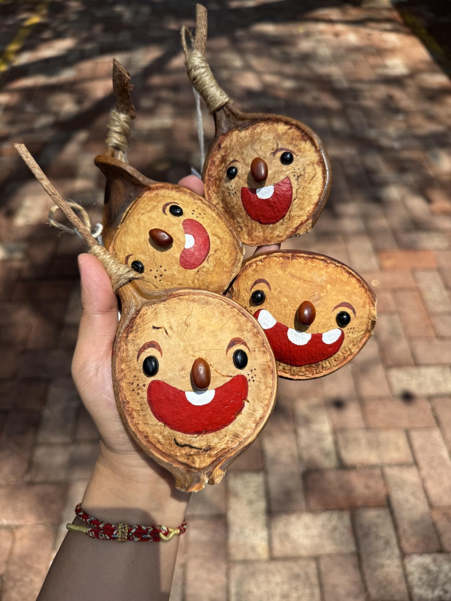 Hand - Painted Giant Entada Pod Ornament – World’s Largest Bean Wall Decor - Yunicrafts