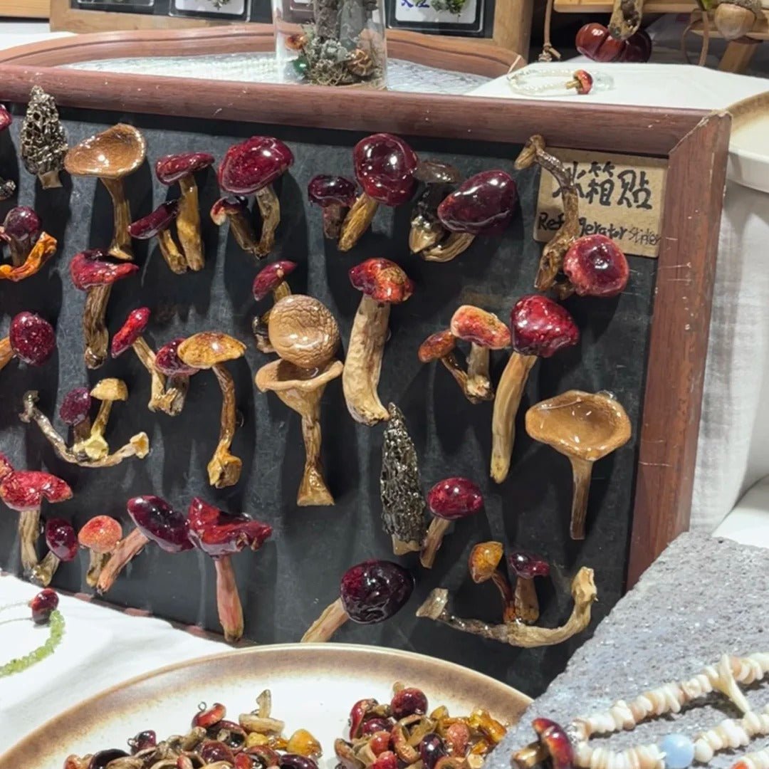 Handcrafted Real-Mushroom Fridge Magnets - Yunicrafts
