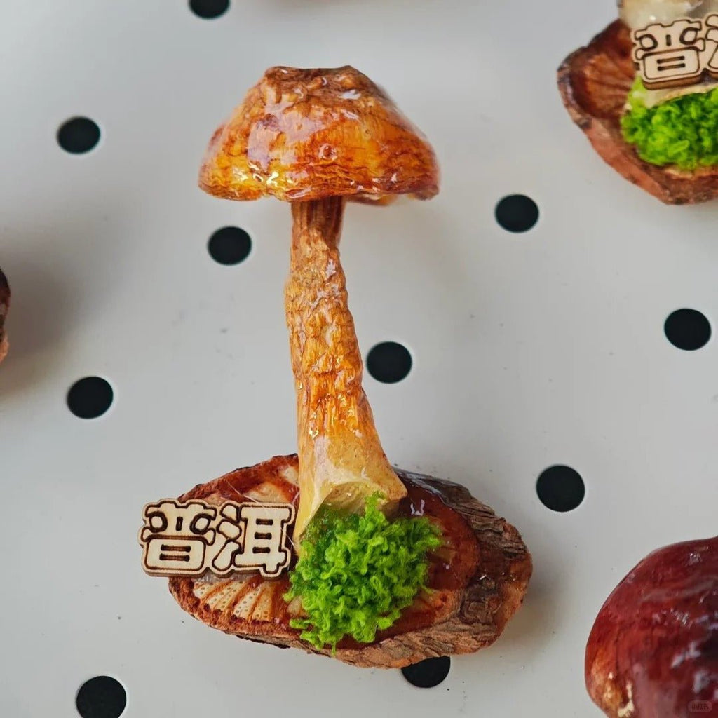 Handcrafted Real-Mushroom Fridge Magnets - Yunicrafts