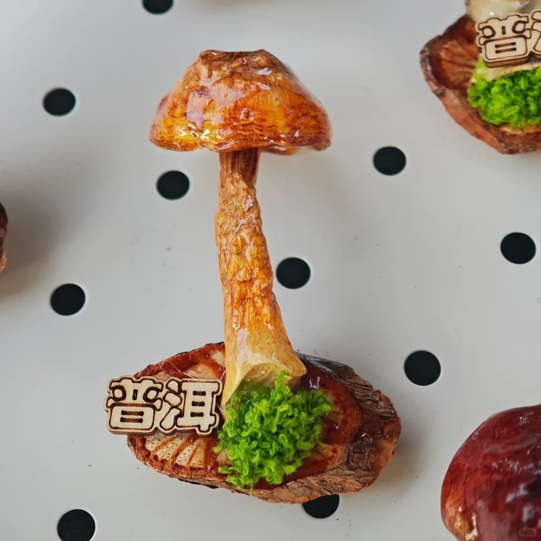 Handcrafted Real-Mushroom Fridge Magnets - Yunicrafts