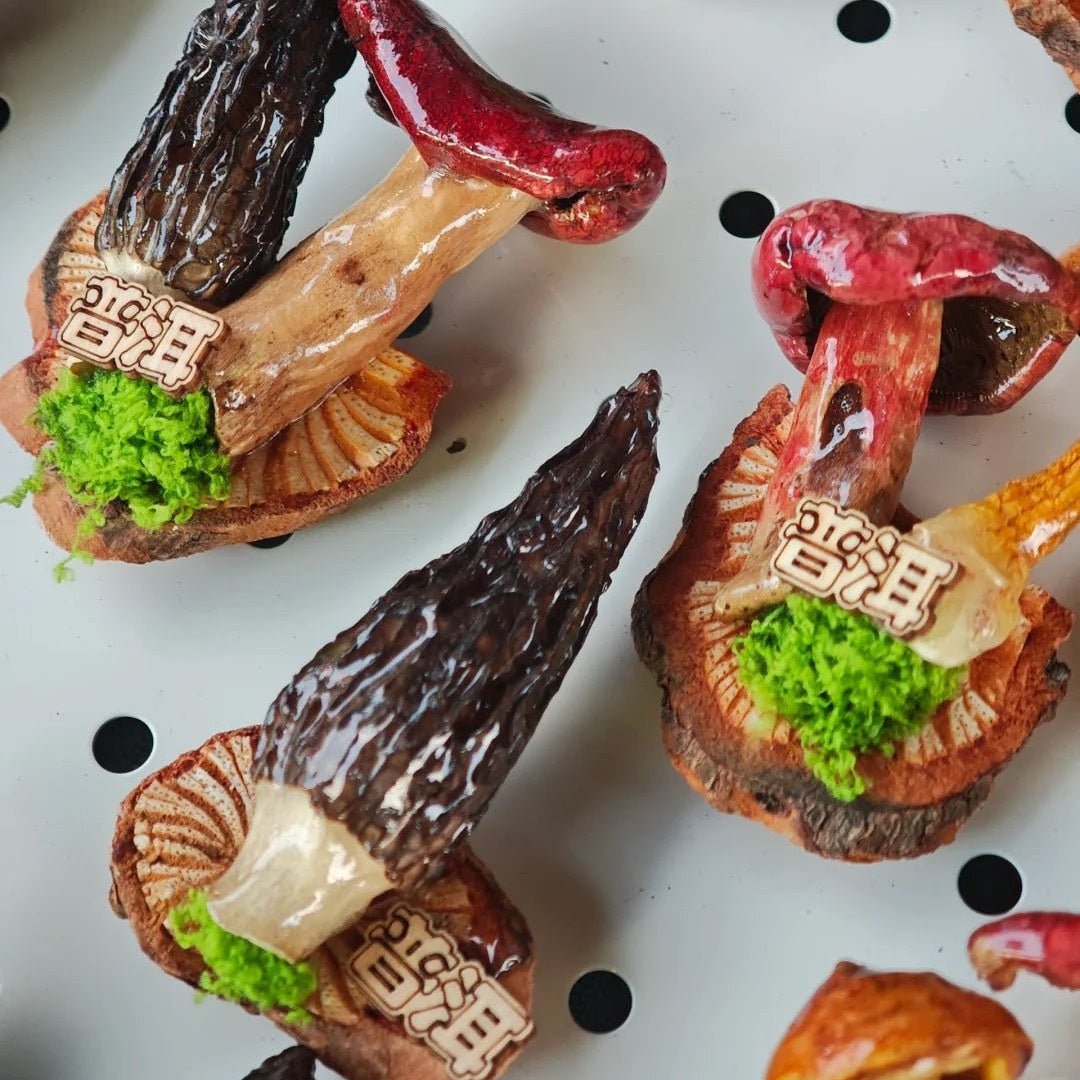 Handcrafted Real-Mushroom Fridge Magnets - Yunicrafts