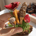 Handcrafted Real-Mushroom Fridge Magnets - Yunicrafts