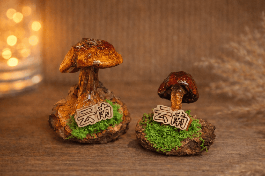 Handcrafted Real-Mushroom Fridge Magnets - Yunicrafts