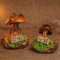 Handcrafted Real-Mushroom Fridge Magnets - Yunicrafts