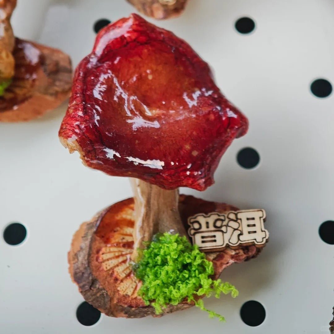 Handcrafted Real-Mushroom Fridge Magnets - Yunicrafts