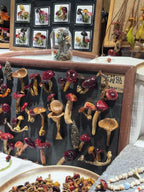 Handcrafted Real-Mushroom Fridge Magnets - Yunicrafts