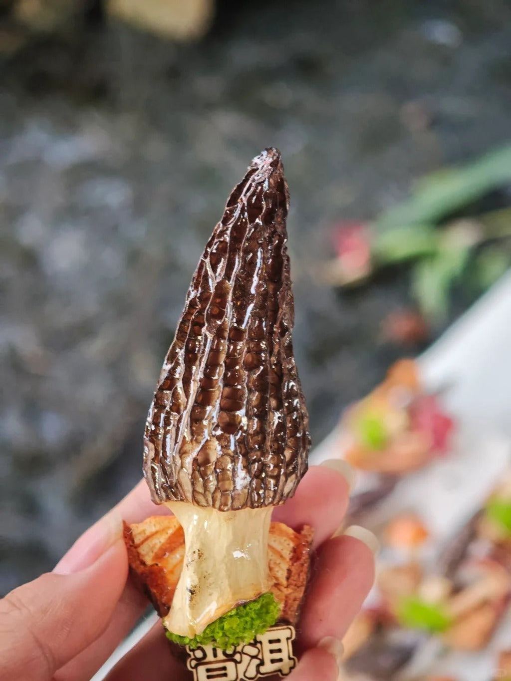 Handcrafted Real - Mushroom Fridge Magnets – Nature Preserved in Art Gift Idea - Yunicrafts