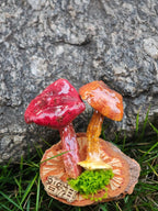 Handcrafted Real - Mushroom Fridge Magnets – Nature Preserved in Art Gift Idea - Yunicrafts