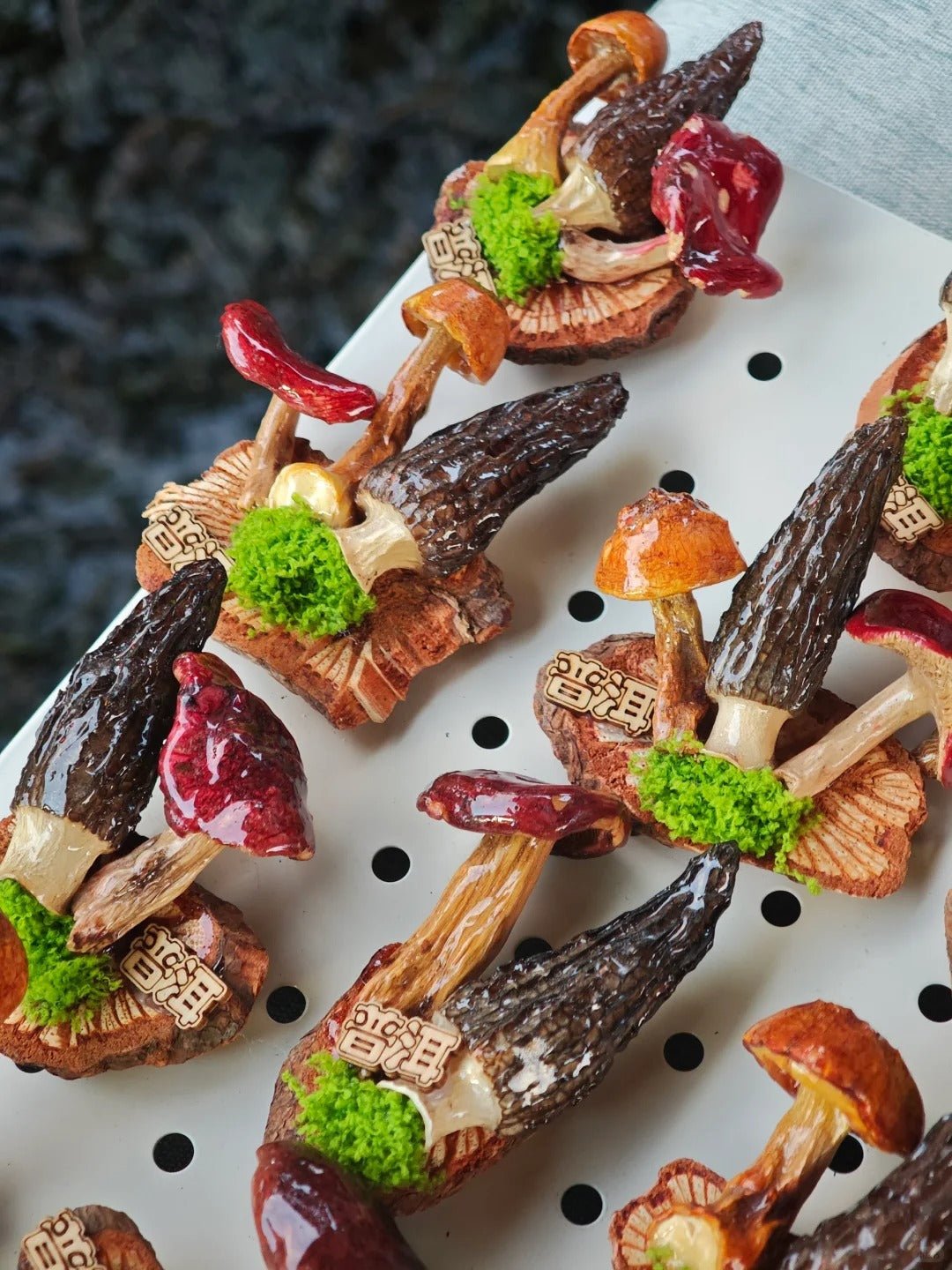 Handcrafted Real - Mushroom Fridge Magnets – Nature Preserved in Art Gift Idea - Yunicrafts