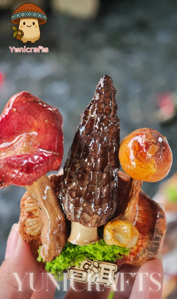Handcrafted Real-Mushroom Fridge Magnets – Nature Preserved in Art Gift Idea