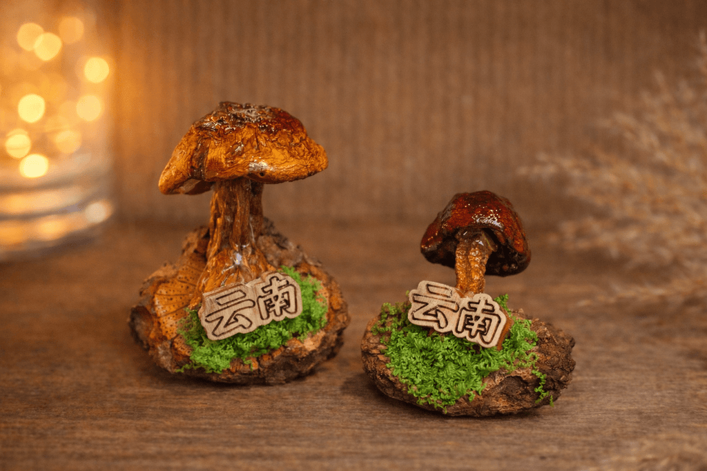 Handcrafted Real - Mushroom Fridge Magnets – Nature Preserved in Art Gift Idea - Yunicrafts