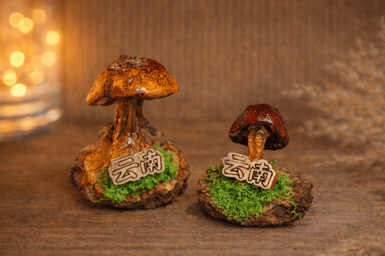 Handcrafted Real - Mushroom Fridge Magnets – Nature Preserved in Art Gift Idea - Yunicrafts
