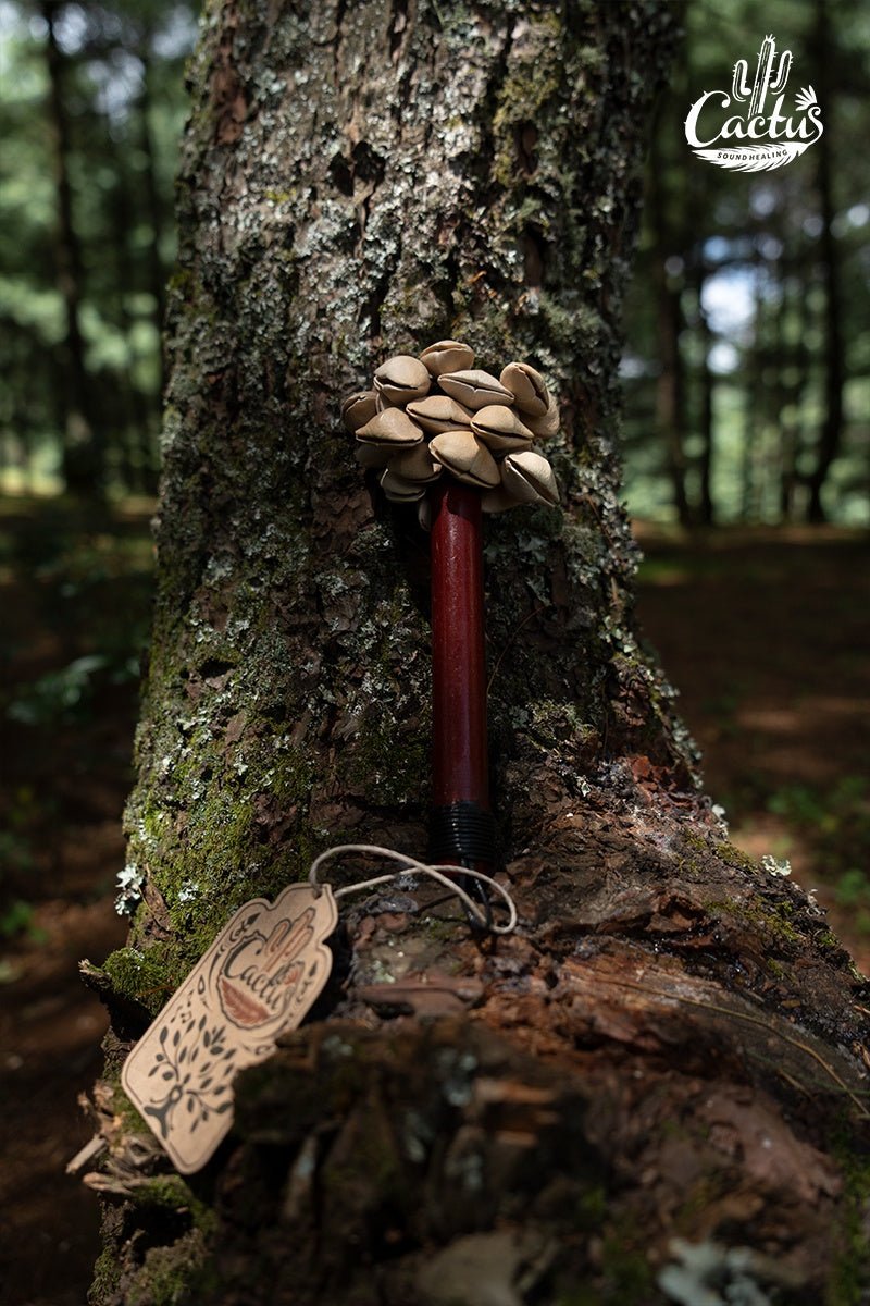 Handmade Chacha Oleander Seed Pod Wooden Handle Shaker – Rainforest Rhythm Instrument - Yunicrafts