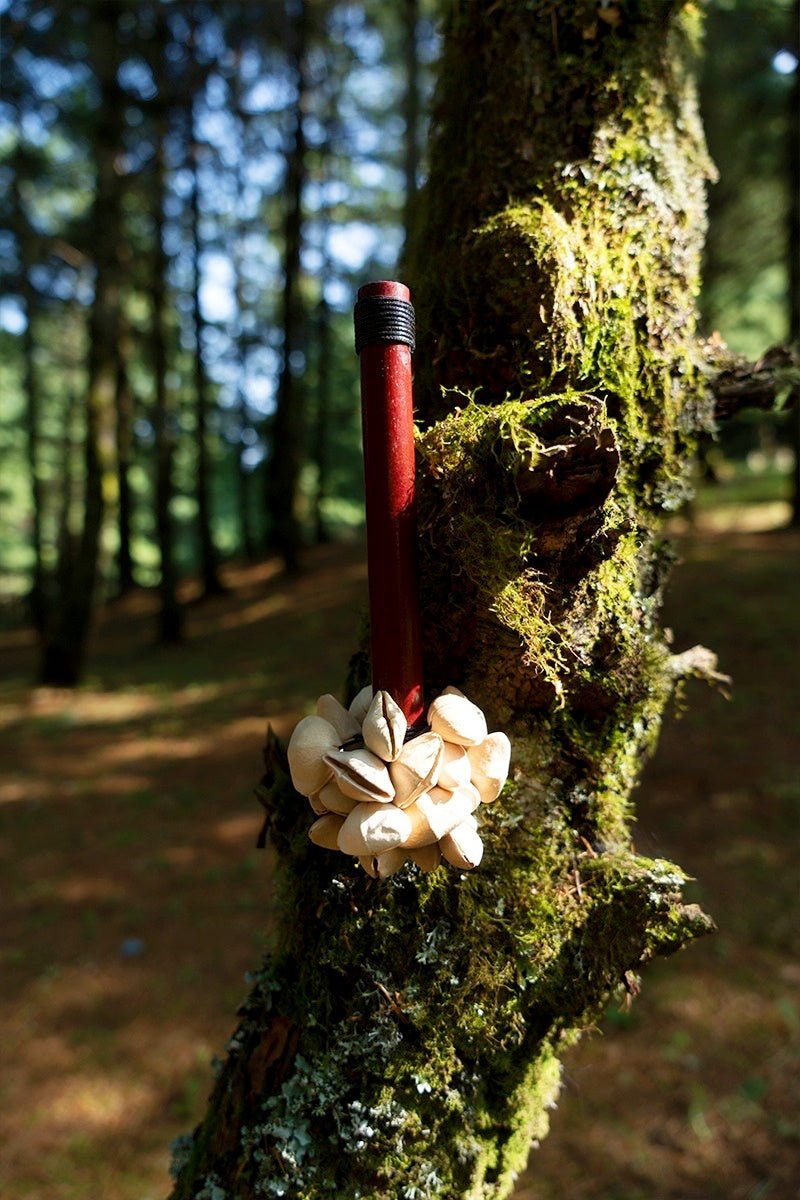 Handmade Chacha Oleander Seed Pod Wooden Handle Shaker – Rainforest Rhythm Instrument - Yunicrafts