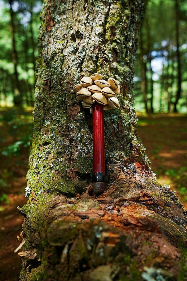 Chacha Oleander Seed Pod Shaker | Handmade Wooden Handle Rainforest Instrument