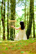 Handmade Chacha Oleander Seed Shell Bar Chime – Natural Rainforest Wind Instrument - Yunicrafts