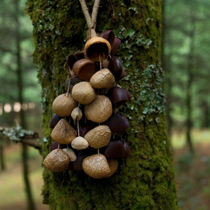 Seed Shaker | Handmade Entada, Pala Cardamom & Chacha Oleander Seed Shell Hand Bell– Natural Rainforest Sound - Yunicrafts