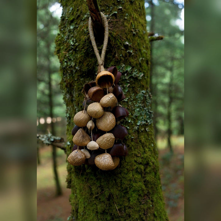 Seed Shaker | Handmade Entada, Pala Cardamom & Chacha Oleander Seed Shell Hand Bell– Natural Rainforest Sound - Yunicrafts