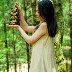 Seed Shaker | Handmade Entada, Pala Cardamom & Chacha Oleander Seed Shell Hand Bell– Natural Rainforest Sound - Yunicrafts