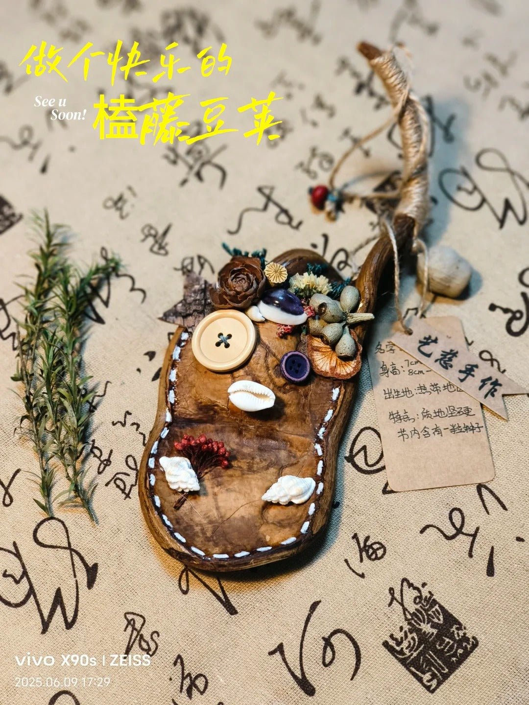 Handmade Entada Pod Ornament with Spinning Feature – Nature - Inspired Gift - Yunicrafts