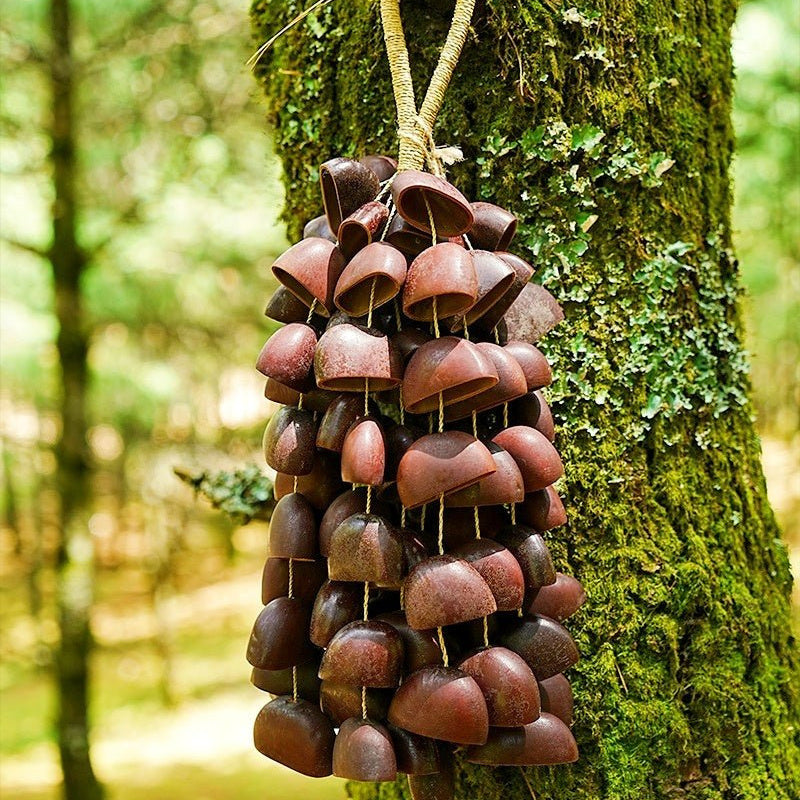 Seed Shaker | Handmade Juju Duckfoot Vine Seed Shell Hand Bell – Natural Rainforest Sound Decor - Yunicrafts