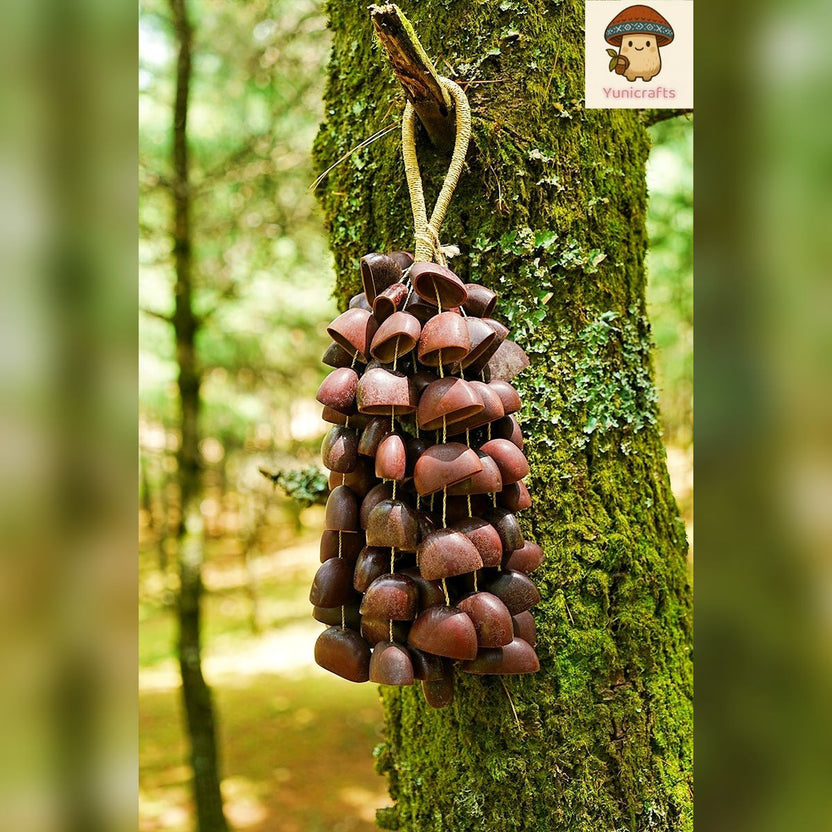 Seed Shaker | Handmade Juju Duckfoot Vine Seed Shell Hand Bell – Natural Rainforest Sound Decor - Yunicrafts