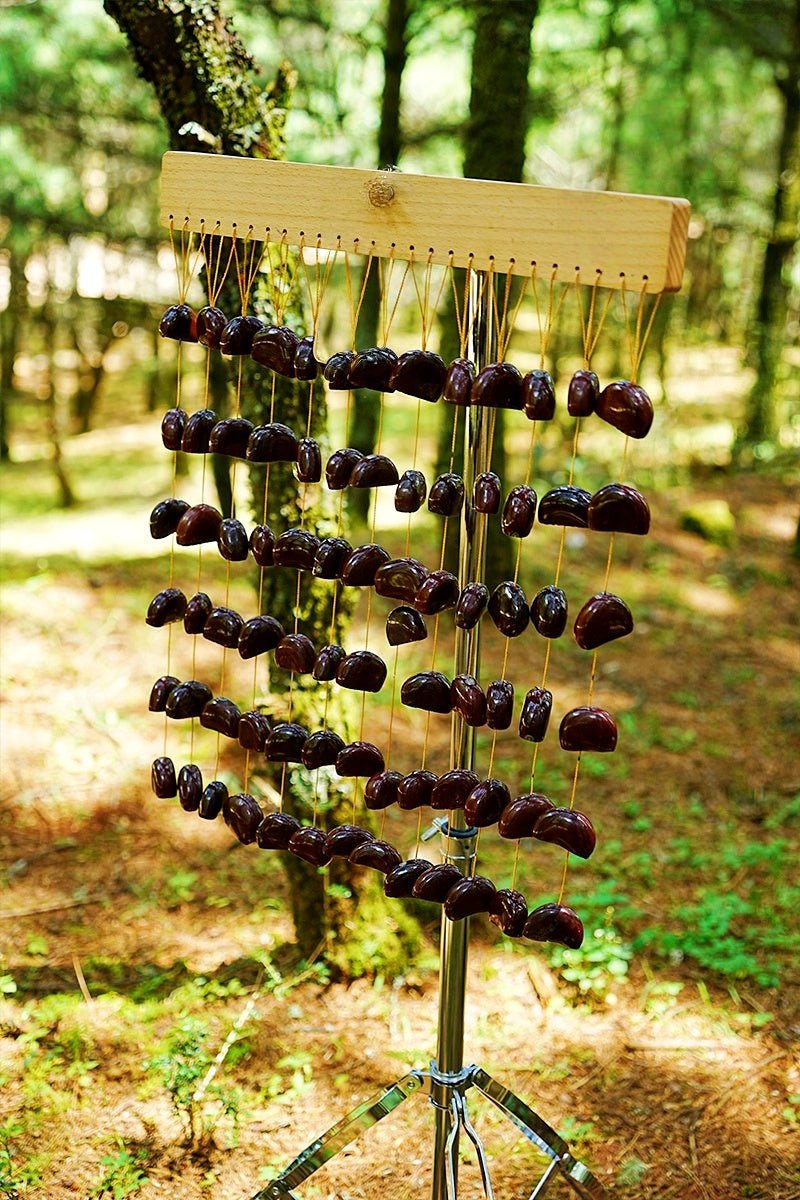 Handmade Juju Duckvine Seed Shell Bar Wind Chime – Natural Rainforest Sound - Yunicrafts