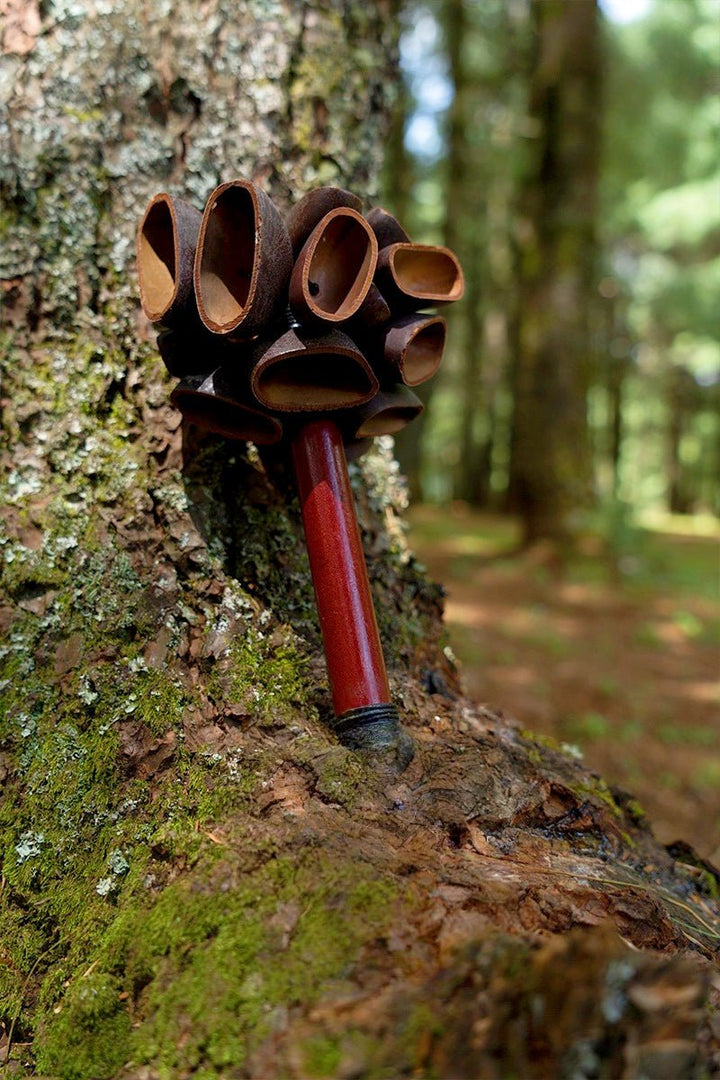 Handmade Juju Seed Pod Wooden Handle Shaker – Rainforest Natural Percussion