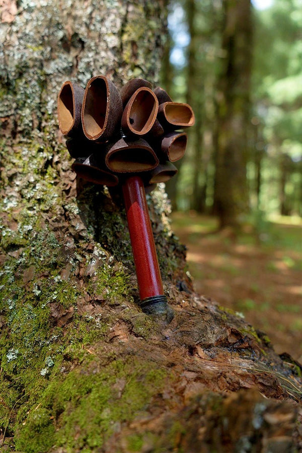 Juju Seed Pod Wooden Handle Shaker