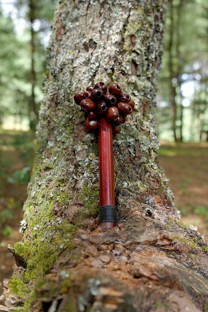 Handmade Pala Cardamom Seed Pod Wooden Handle Shaker – Rainforest Rhythm - alternate image