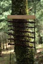 Handmade Pala Cardamom Seed Shell Bar Chime – Natural Rainforest Decor - Yunicrafts