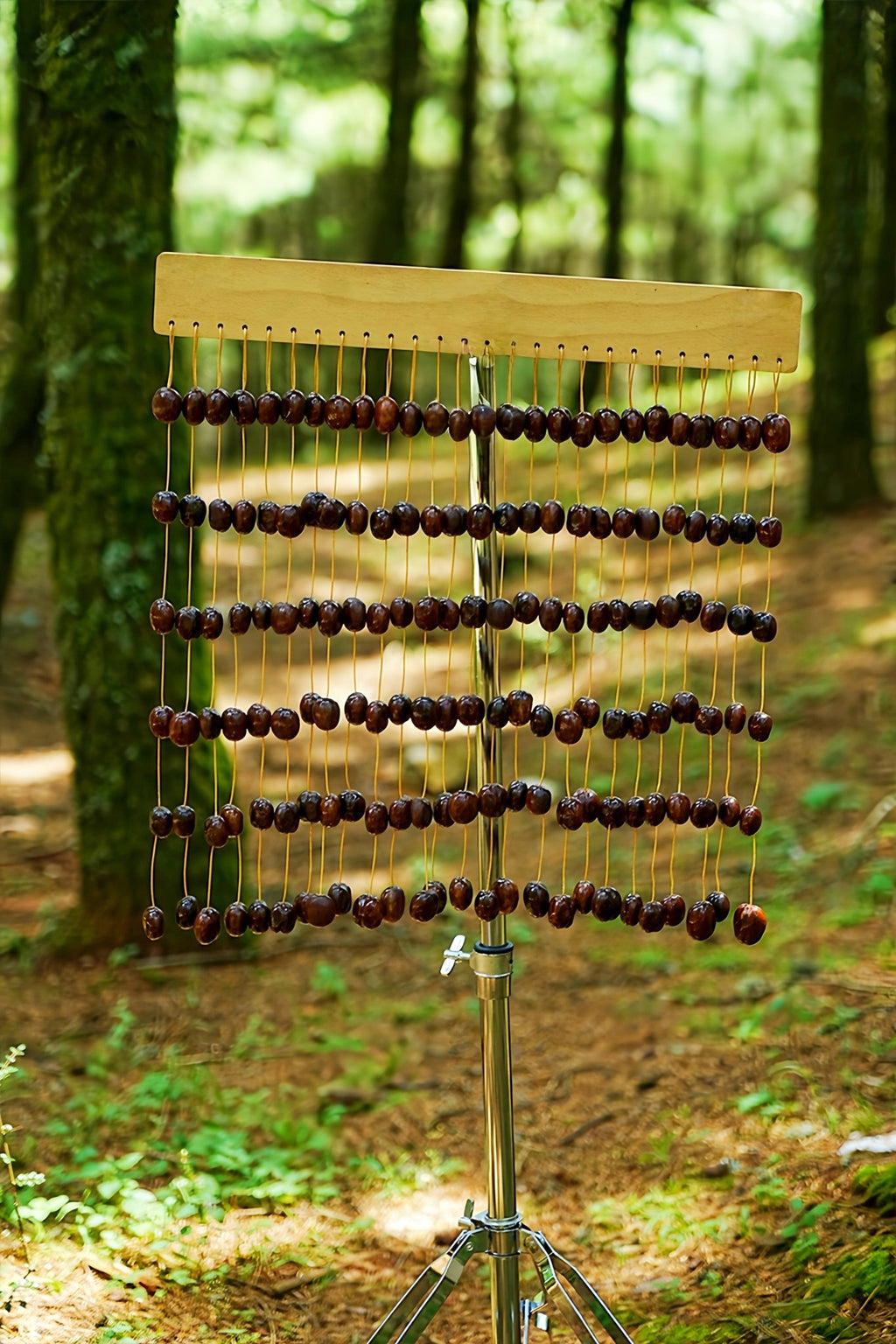 Handmade Pala Cardamom Seed Shell Bar Chime – Natural Rainforest Decor - Yunicrafts