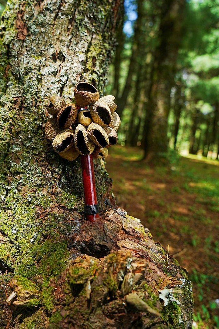 Handmade Panji White Fruit Seed Pod Wooden Handle Shaker – Natural Rhythm - alternate image