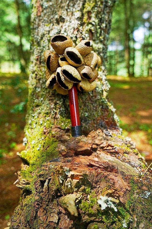 Panji Seed Pod Wooden Handle Shaker